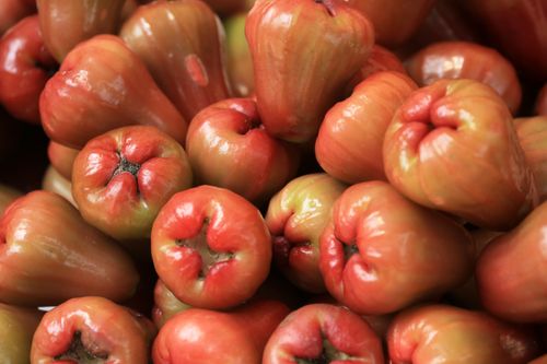 Buah Segar