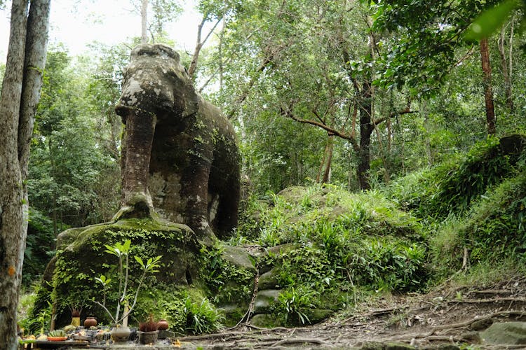 Elephant Sculpture In Forest