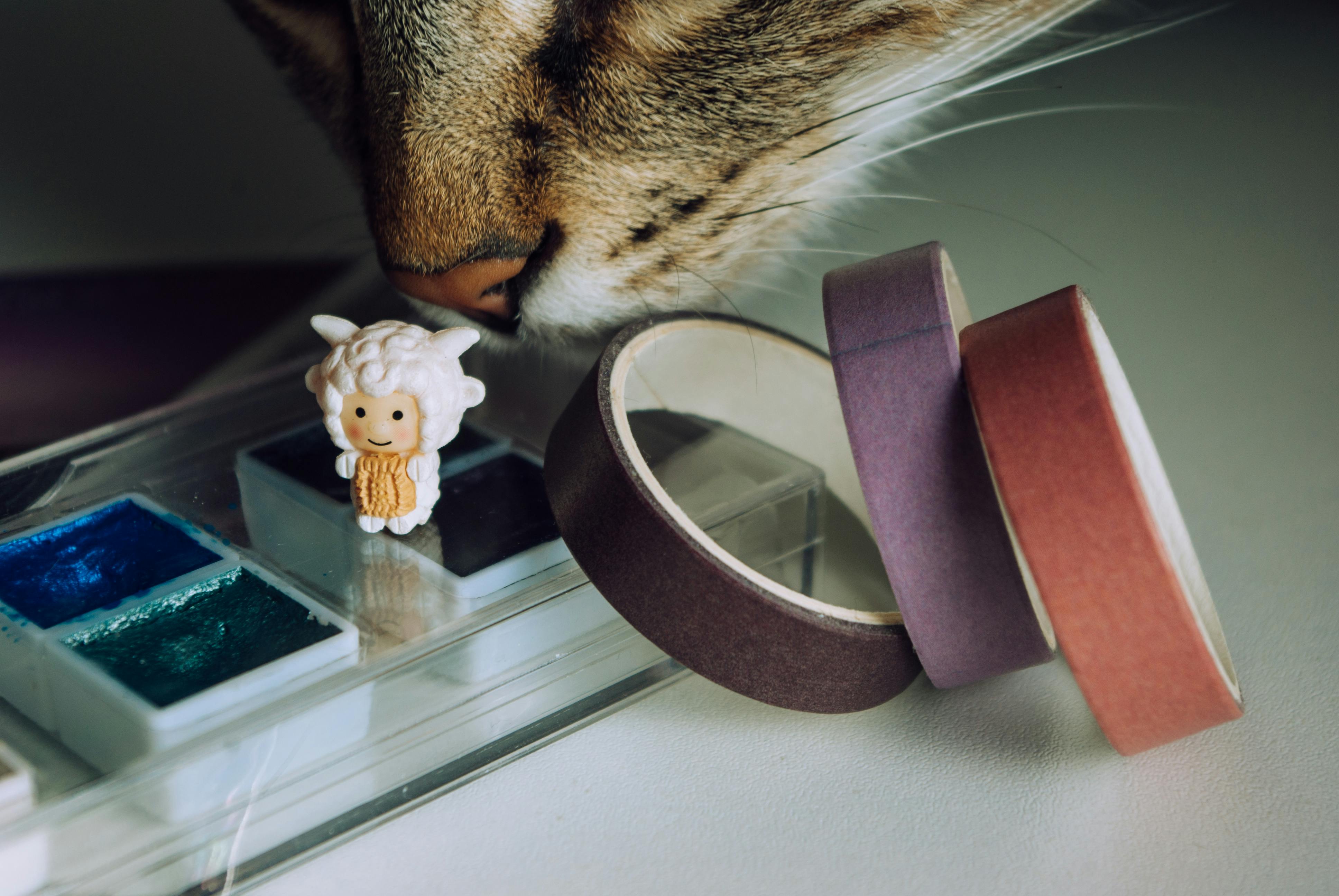 nose of a cat sniffing a sheep figurine standing on a box of paints next to rolls of colored tape