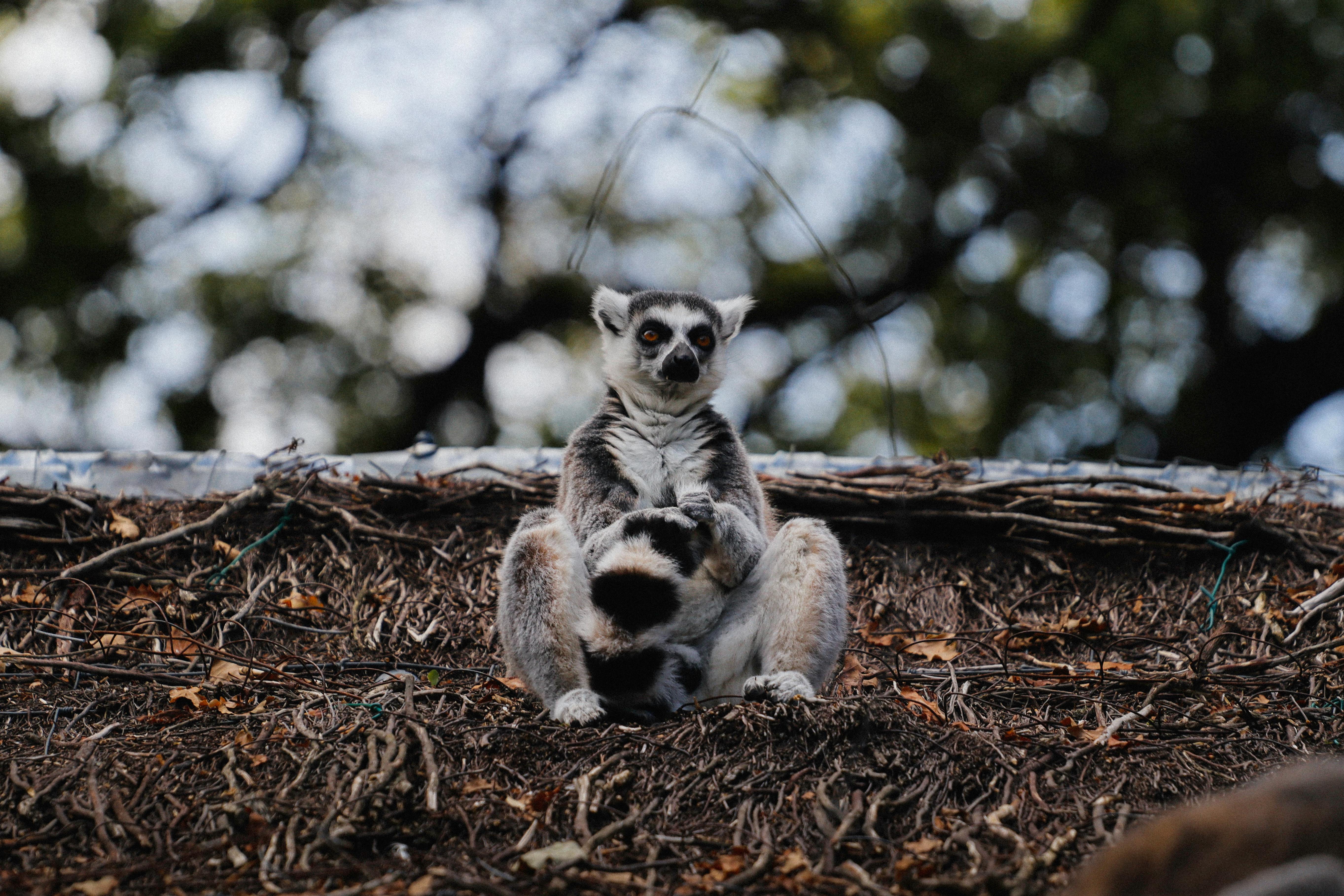 Whats The Difference Between Laminate, Hardwood, And Vinyl Flooring? Whats The Difference Between Laminate, Hardwood, And Vinyl Flooring?