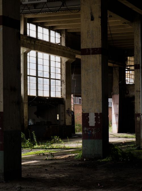 Free Sunlight streams through windows of a deserted warehouse, highlighting industrial decay. Stock Photo