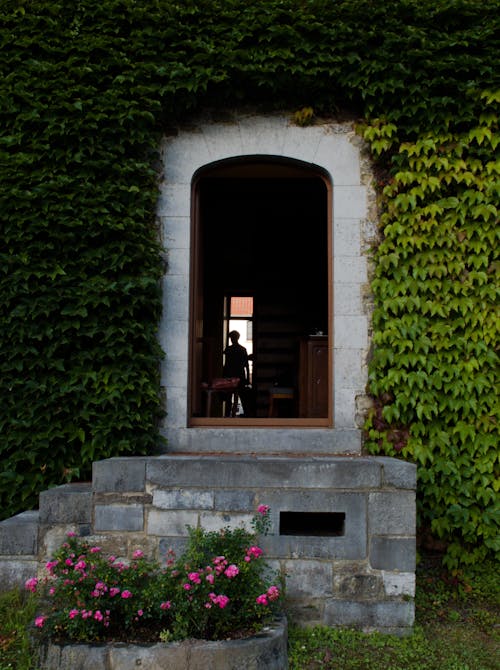 Entrance Surrounded by Ivy