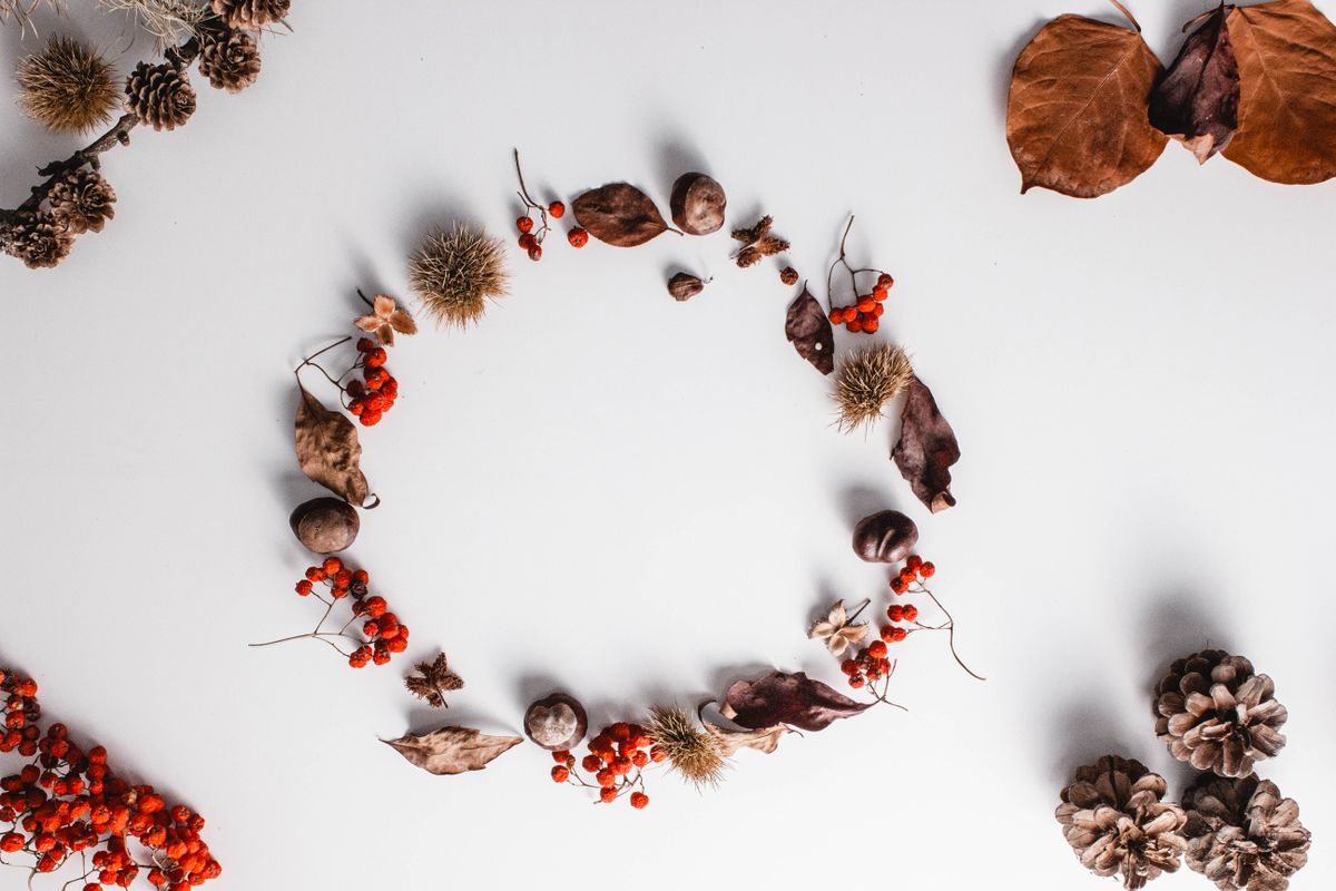 Circular arrangement of autumn leaves, berries and pinecones for a fall wreath