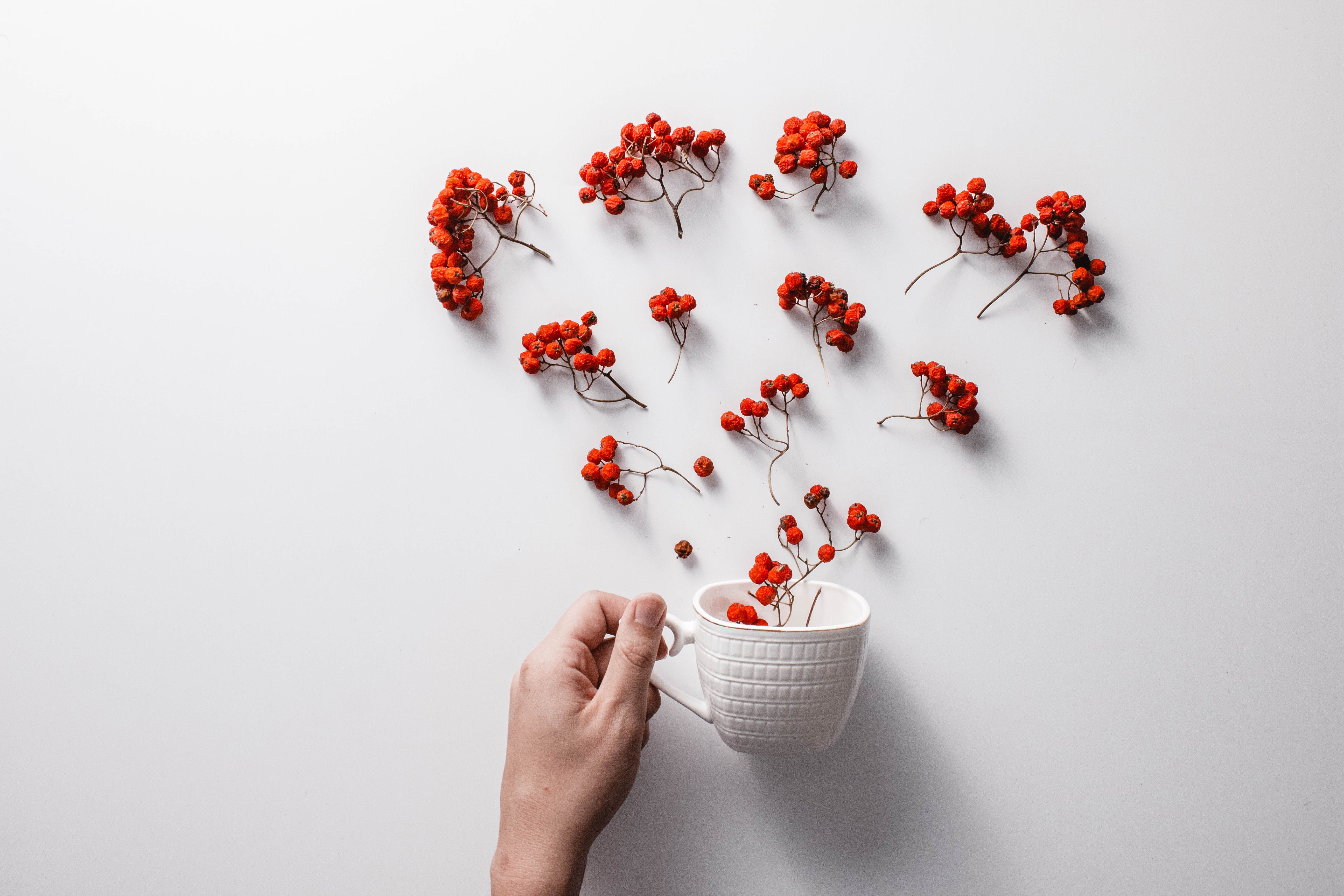 New Tart Cherry, Magnesium Shots Target Sleep and Recovery — Photo by Lucie Liz on Pexels