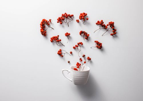 Free Minimalist top view of red rowan berries artistically arranged in a white cup. Stock Photo