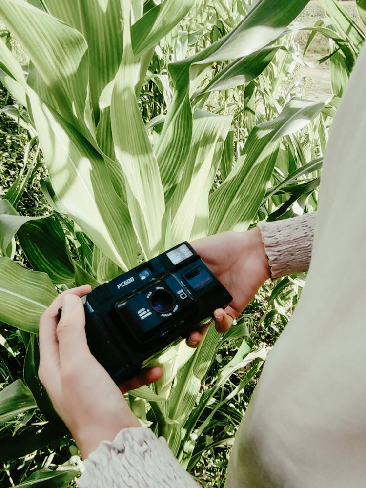 Woman Holding A Black Analog Film Photo Camera