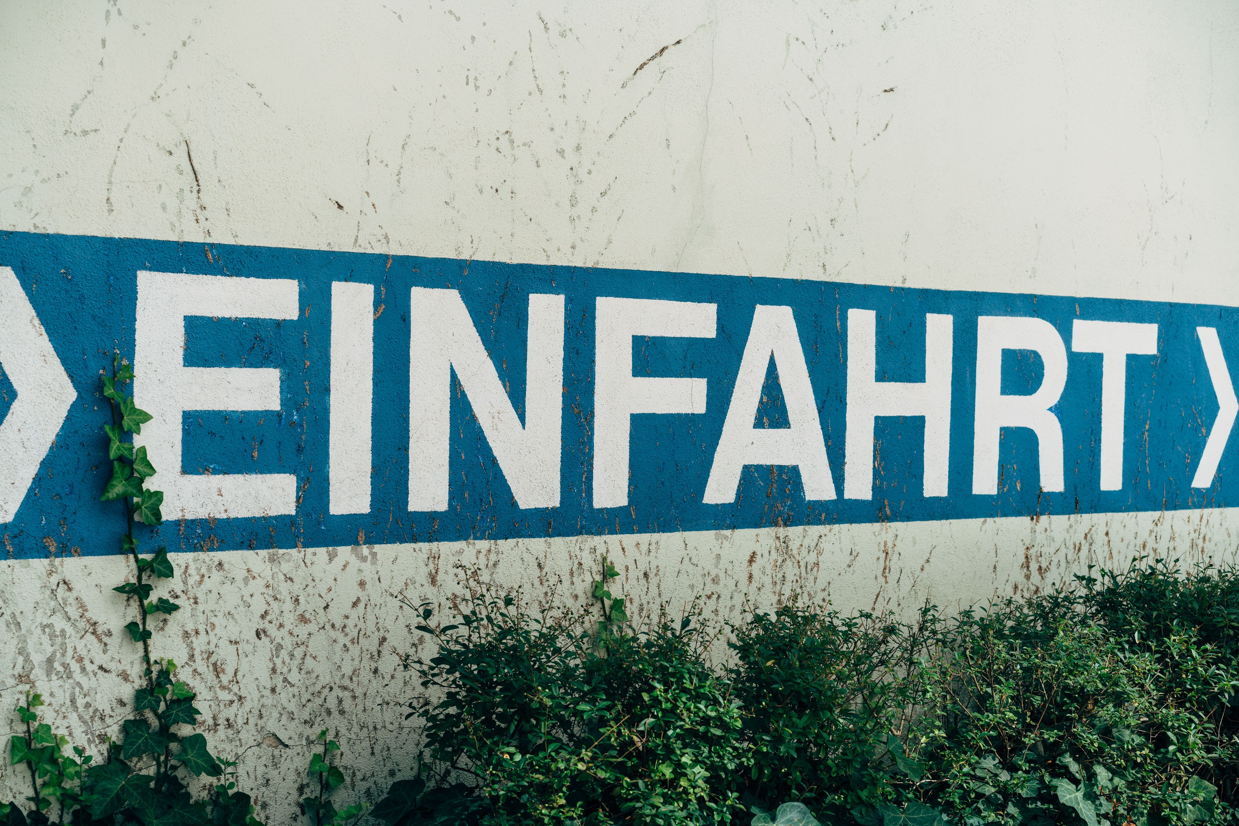 Close-up of a German 'Einfahrt' sign on a textured wall with ivy, conveying an entryway directive.