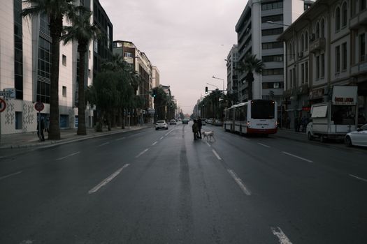 City street scene with pedestrians crossing and palm trees lining the road.