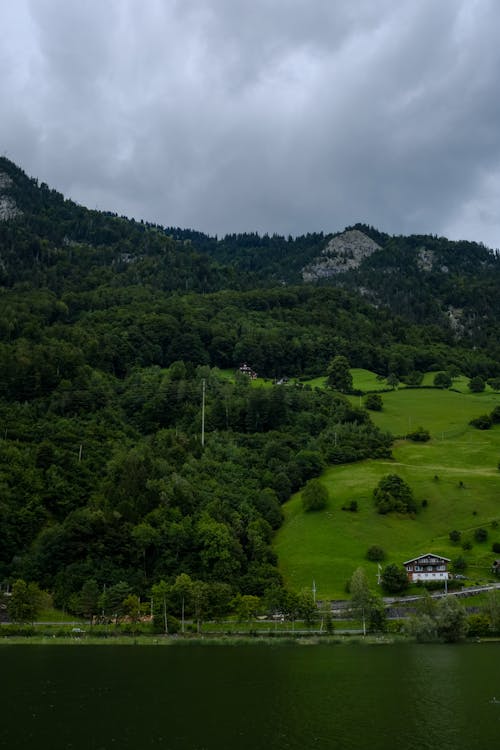 Photos gratuites de arbres, colline, des villages