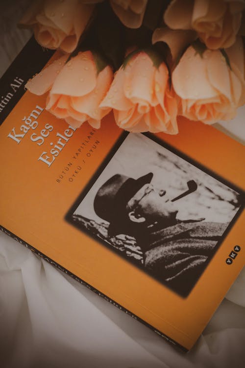 คลังภาพถ่ายฟรี ของ booklovers, lightroom, ดอกกุหลาบสีส้ม