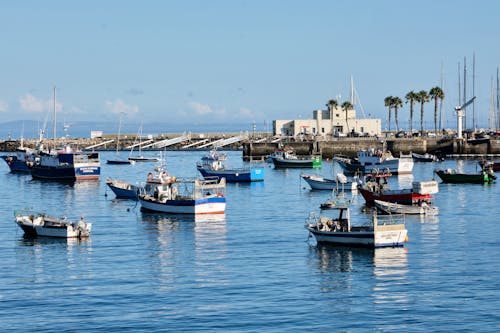 Immagine gratuita di baia, barche, mare