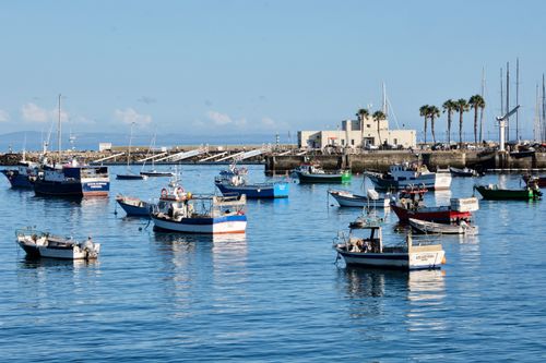 Free Scenic view of multiple boats floating in a serene marina on a sunny day. Stock Photo
