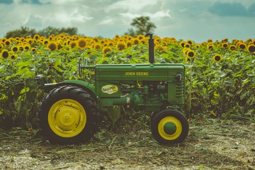 Green Tractor in Sunflower Field