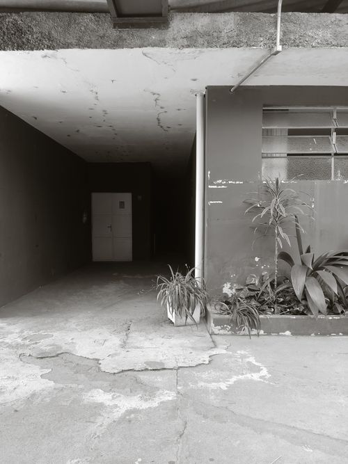 Free black and white  Stock Photo