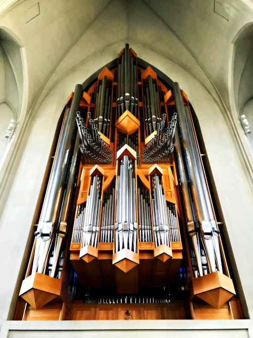 Fotos de stock gratuitas de cantando, catedral, himno