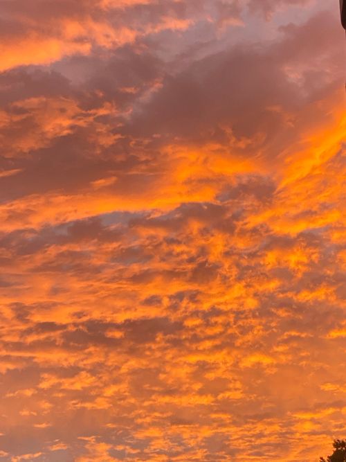 Free Sky Stock Photo