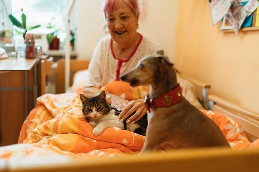 Senior woman enjoying the company of a dog and cat in a cozy bedroom