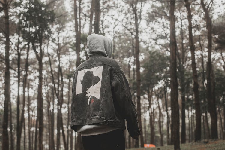 Person Standing Near Tall Trees