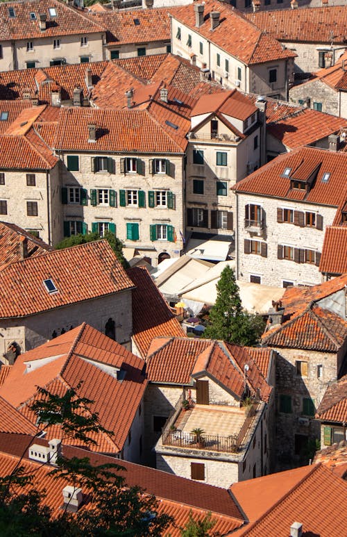 Roofs of Medieval Buildings in Town