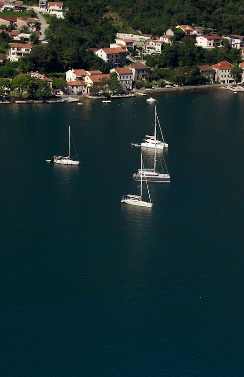 Kostenloses Stock Foto zu bäume, boote, drohne erschossen