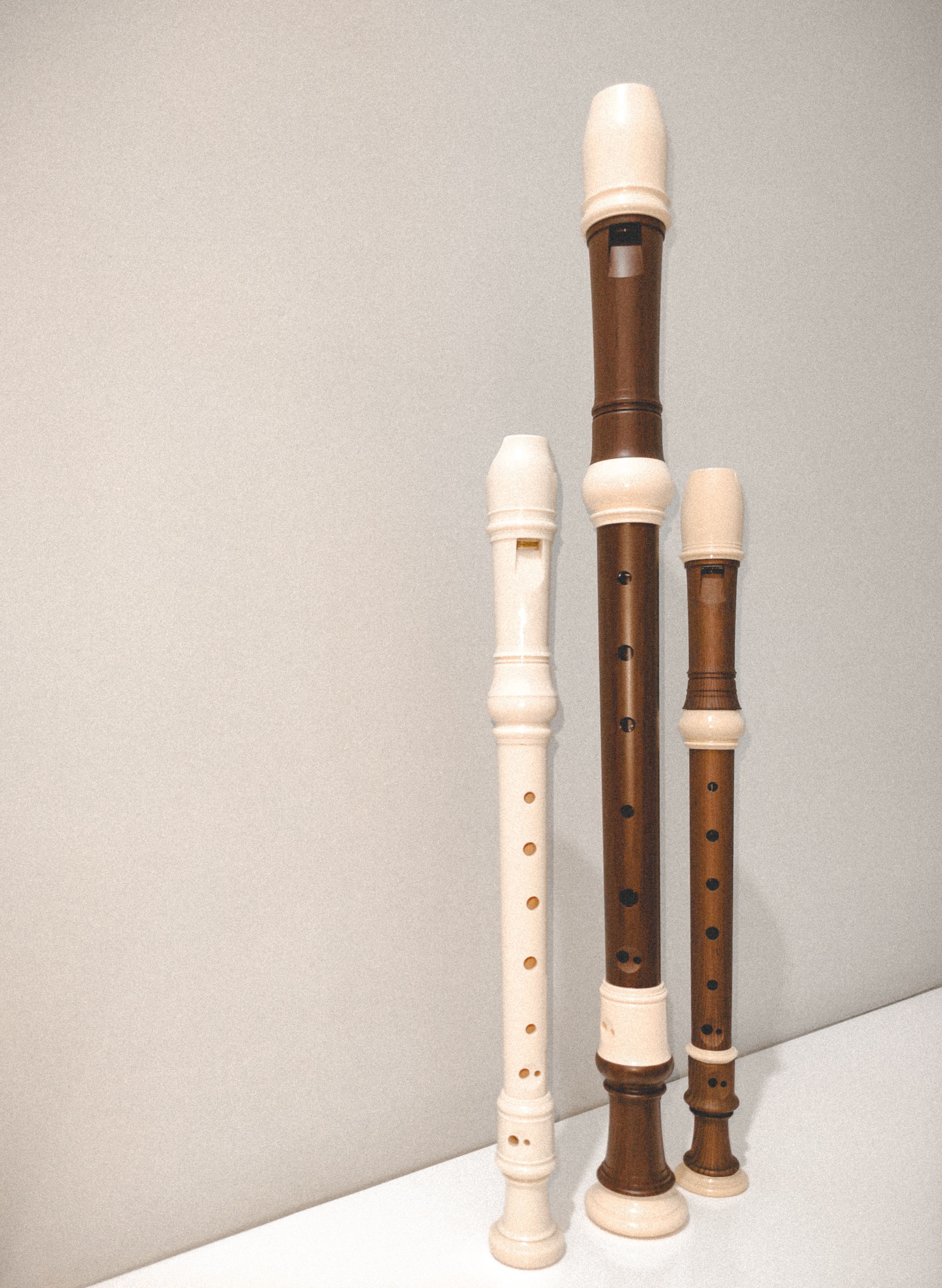 Three musical recorders in varying sizes positioned against a neutral wall.