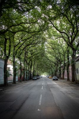 New Projects in Jayanagar 2026 - Prices, Reviews & Investment Guide