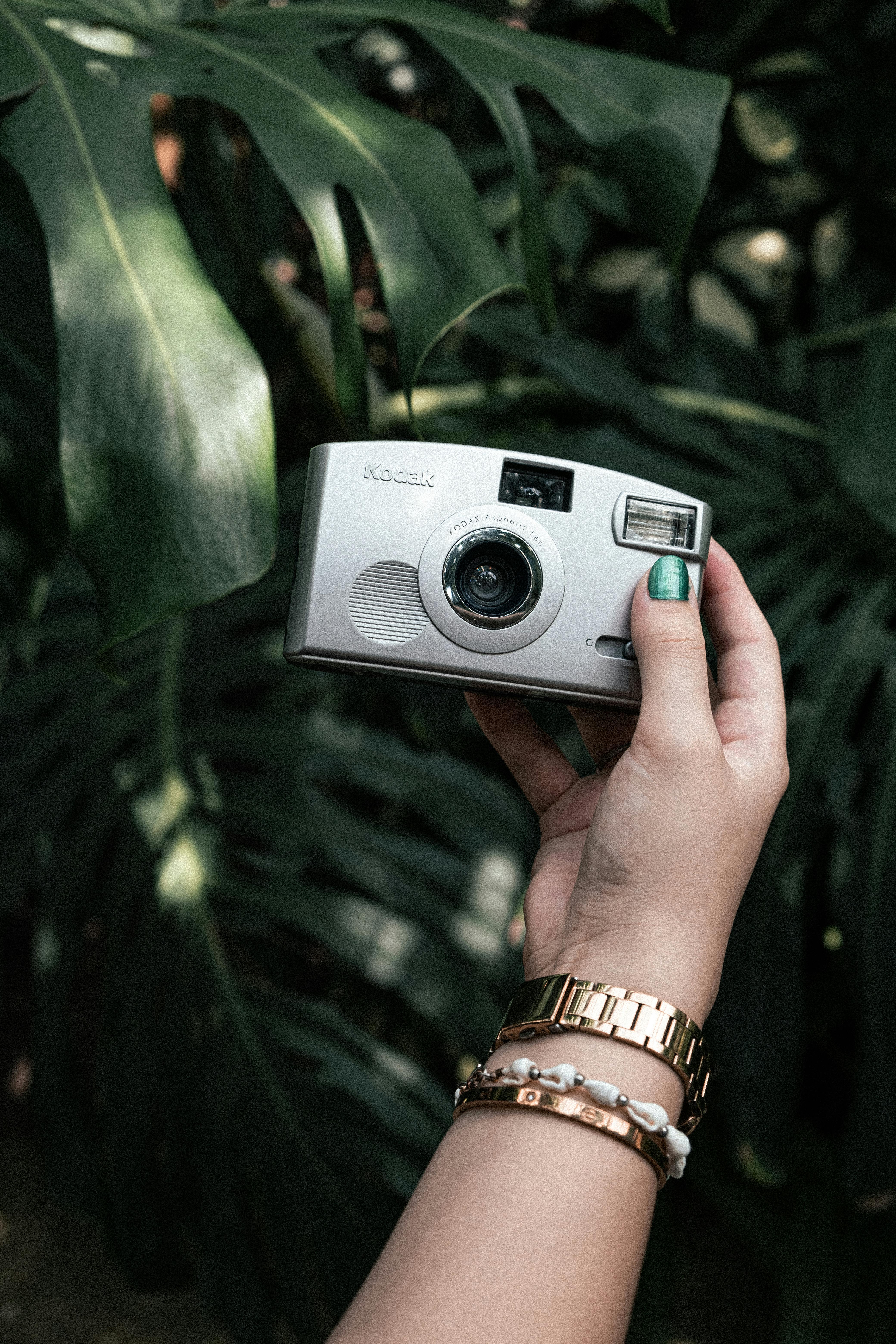 A stylish hand with bracelets holds a vintage camera in front of lush green monstera leaves.