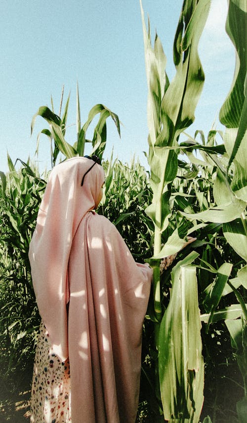 Δωρεάν στοκ φωτογραφιών με abaya, αγροτικός, γήπεδο