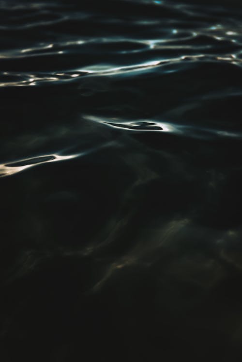 Wavy, Dark Water