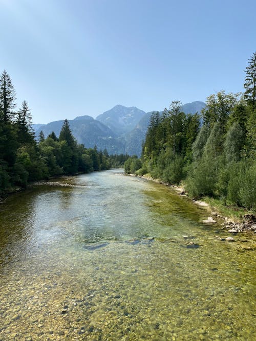 View of a Clear Mountain River in Summer
