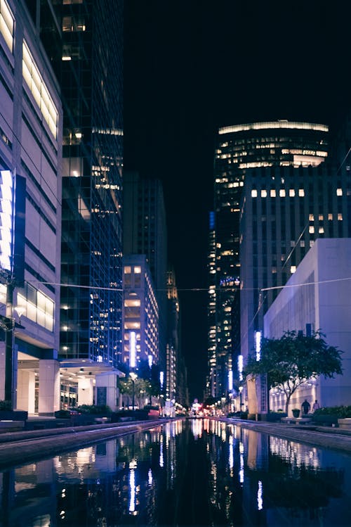 Water Alley in City at Night