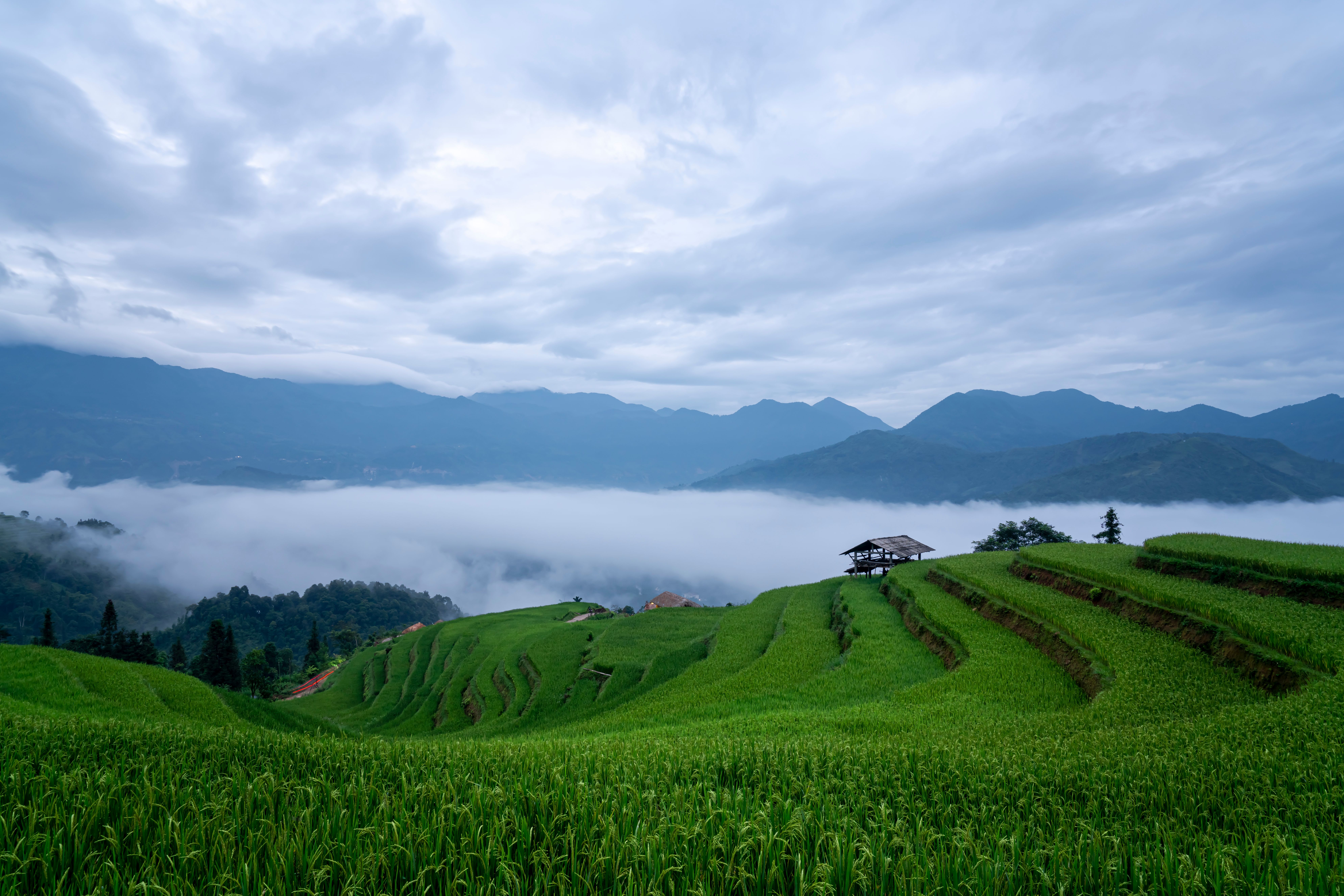 Terraced Field in Mountains · Free Stock Photo