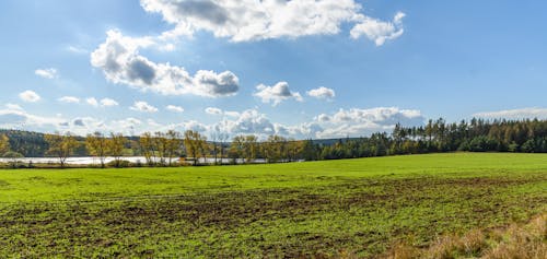 Foto stok gratis bidang, lahan pertanian, musim gugur