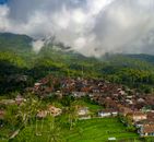 Town Surrounded by Trees