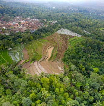 Aerial view of vibrant rice terraces and a nearby village in Majasari, Banten, Indonesia.