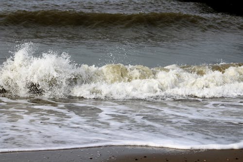 Gratis stockfoto met golven op het strand