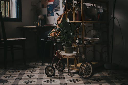 Trike Flower Pot Beside Wooden 3-layer Shelf