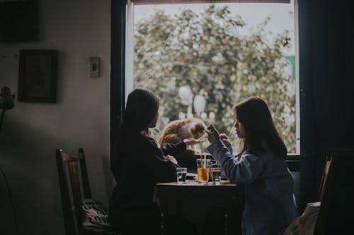 Women Sitting at Table Near Window