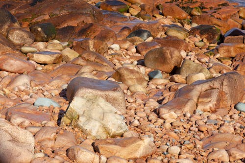 돌, 매끄러운, 바다의 무료 스톡 사진