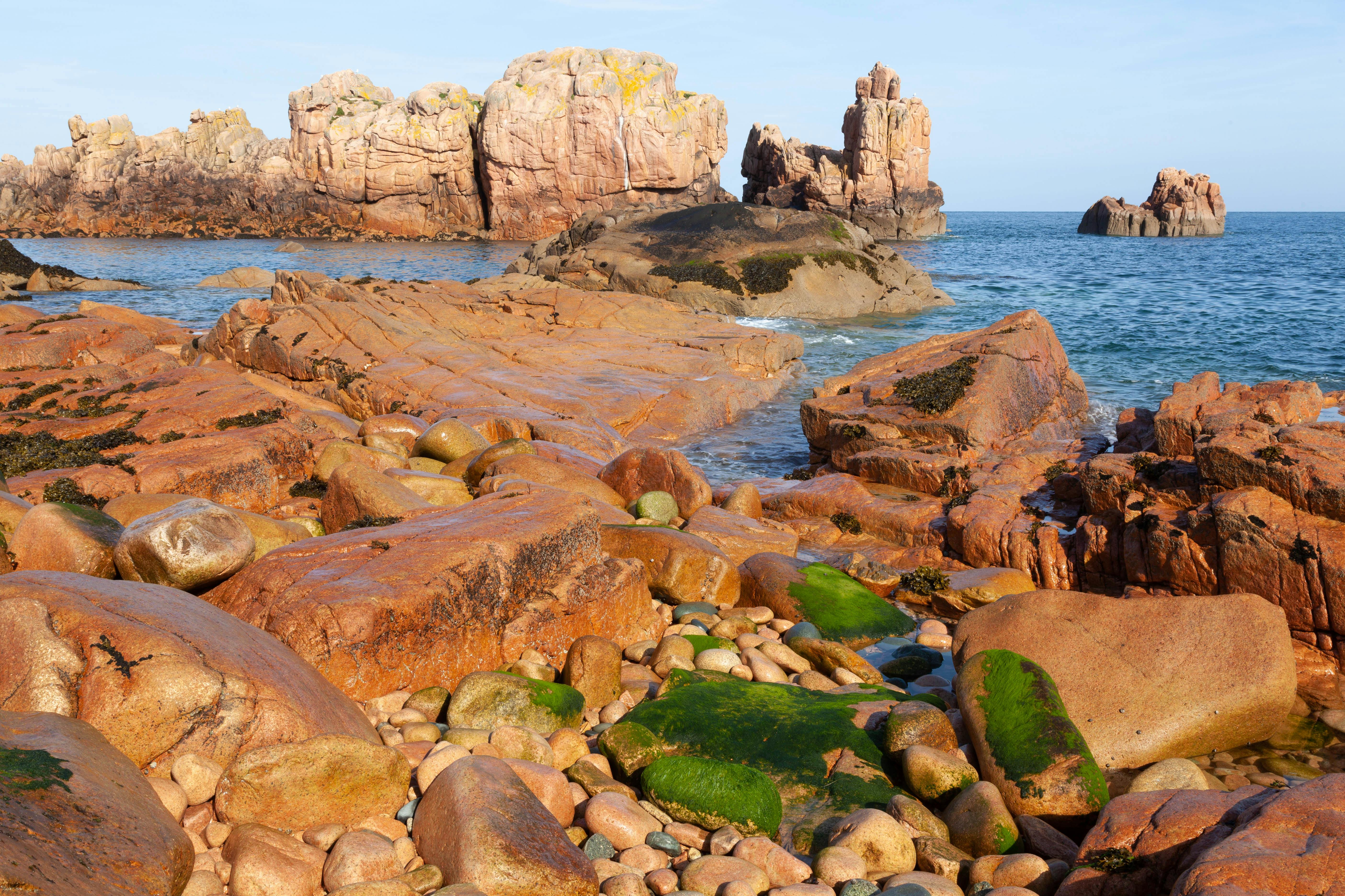 a rocky shore with green algae and rocks