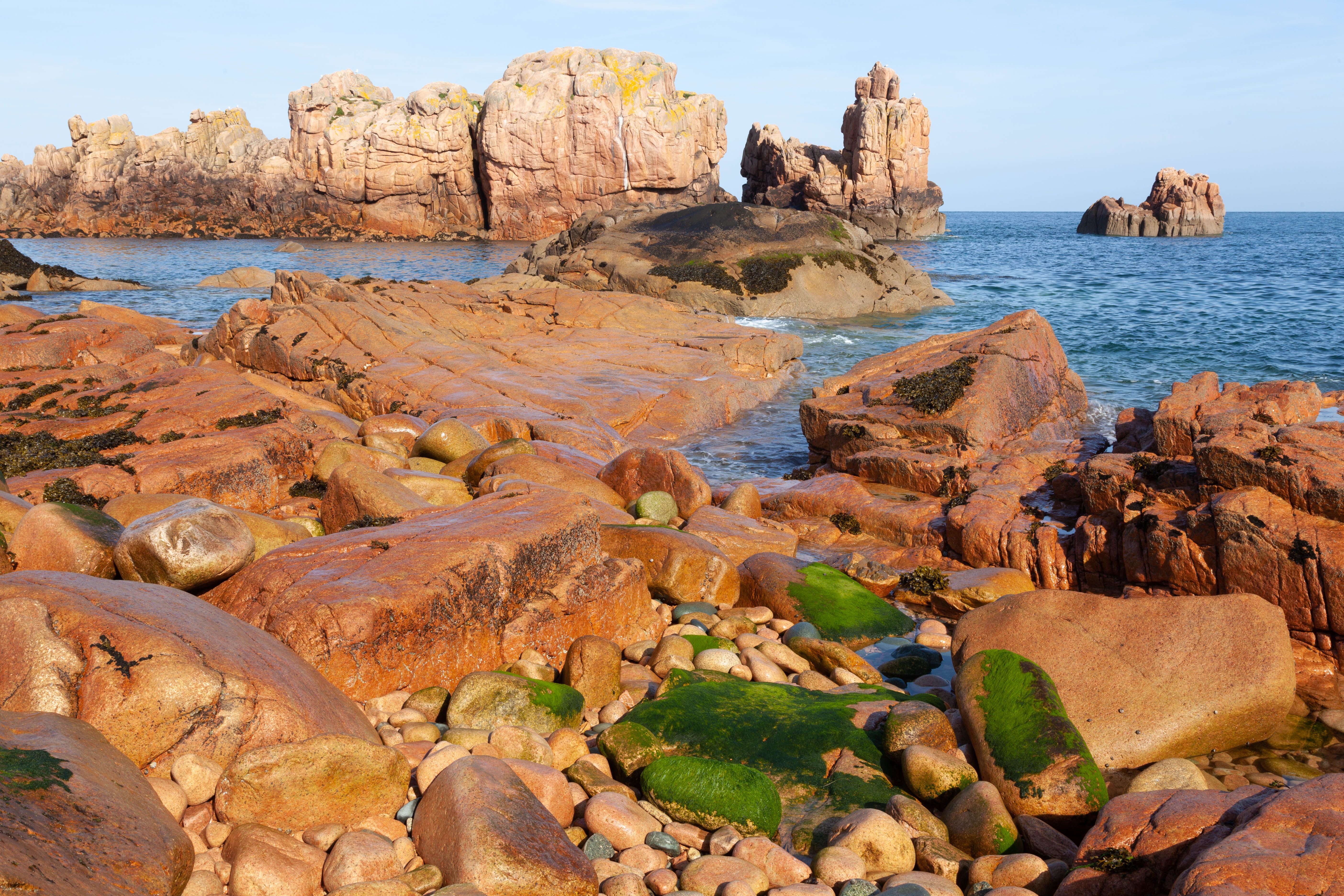 Sea Shore with Rocks · Free Stock Photo
