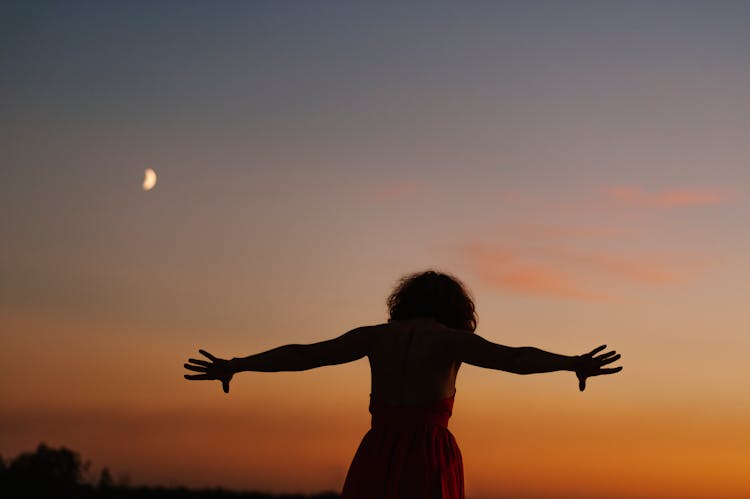 Silhouette Of A Woman At Dusk