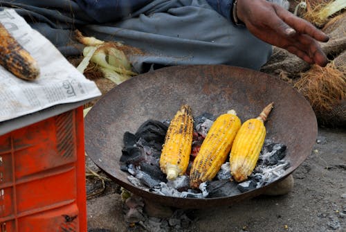 Photos gratuites de bol, cuisiner, feu de camp