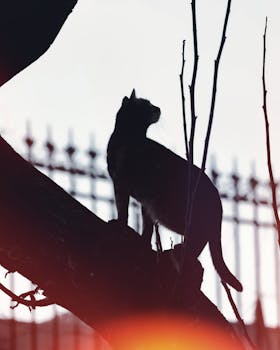 A cat perched on a tree branch with a moody silhouette against a serene sky.