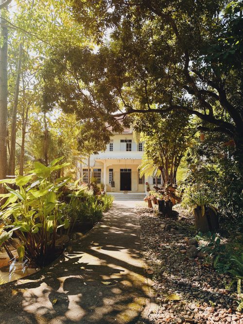 Free A picturesque house surrounded by vibrant plants and trees under a sunny sky. Stock Photo