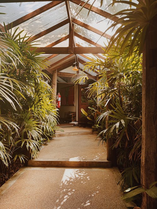 Corridor in Greenhouse