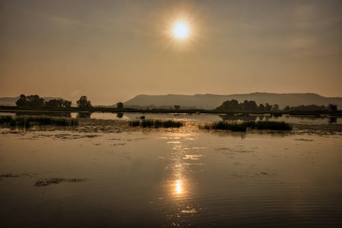 Sunlight over Swamp