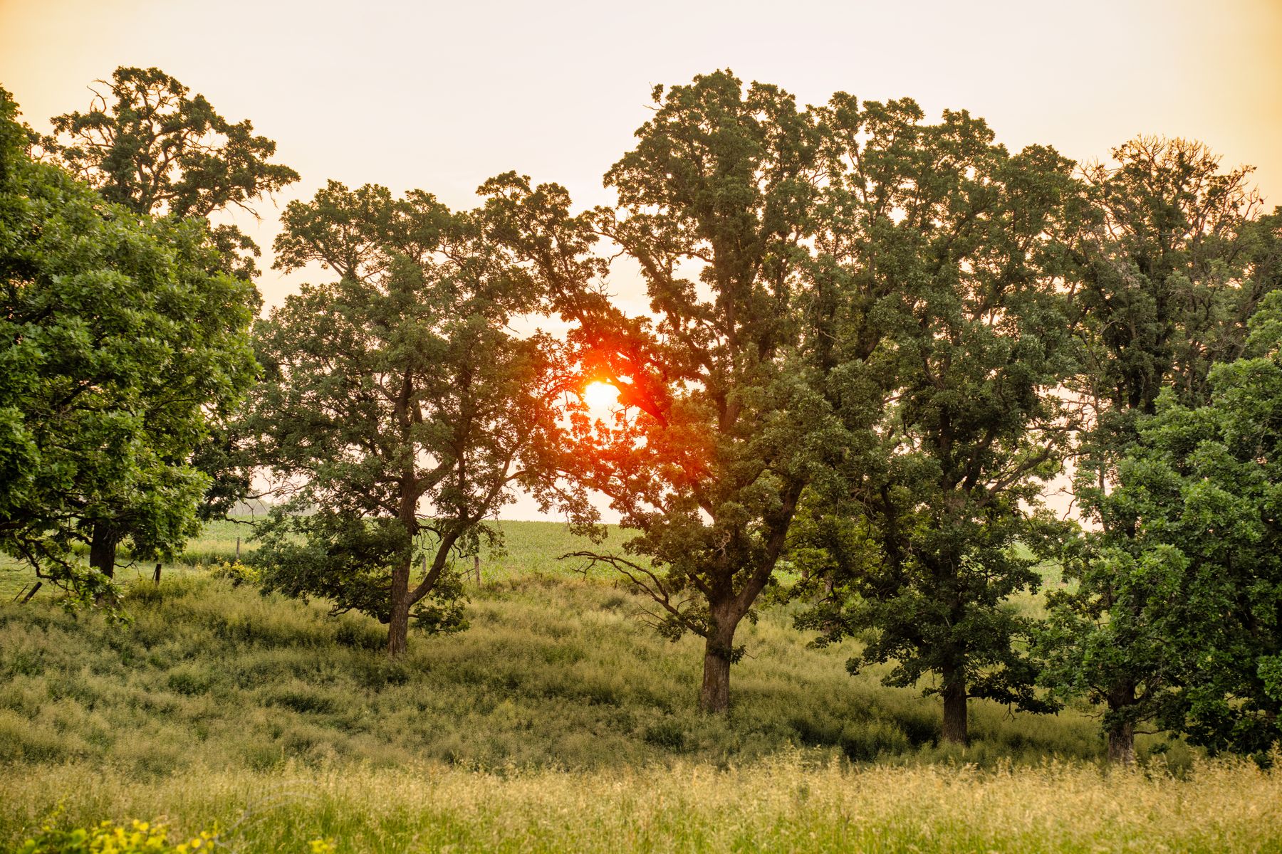 Top 5 Green Key Certified Hotels Near Albany With On-Site EV Charging