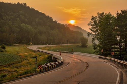 Imagine de stoc gratuită din apus, arbori, codru