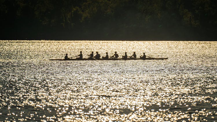 Rowing Team On River